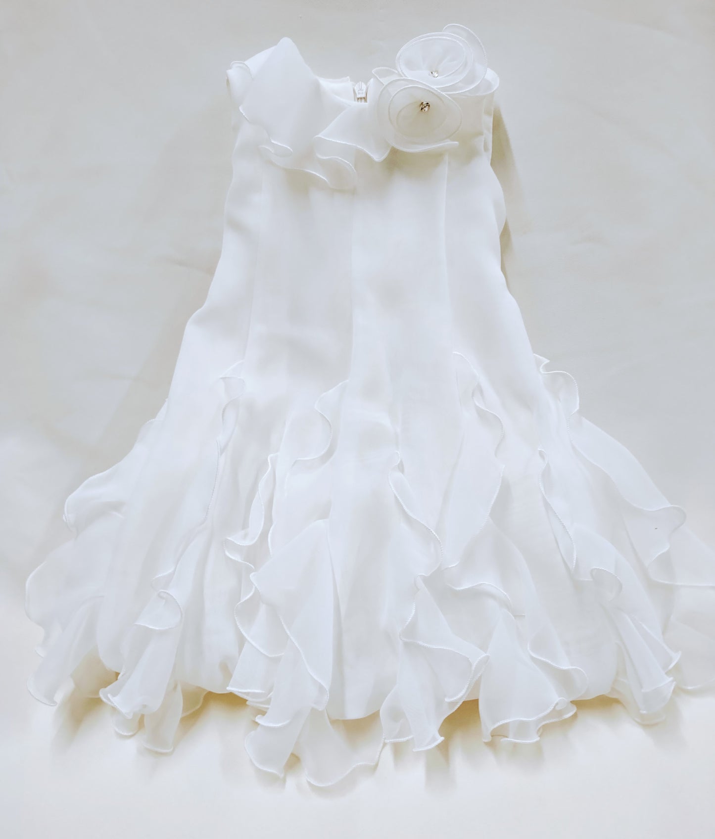 Dress-10186263