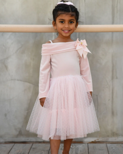 Hepburn Velour Tulle Tea Dress