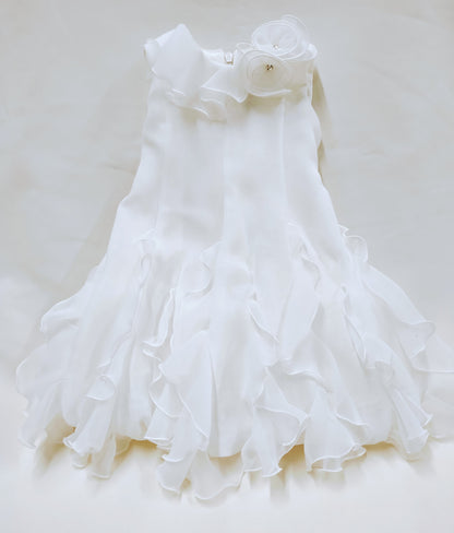 Dress-10186263