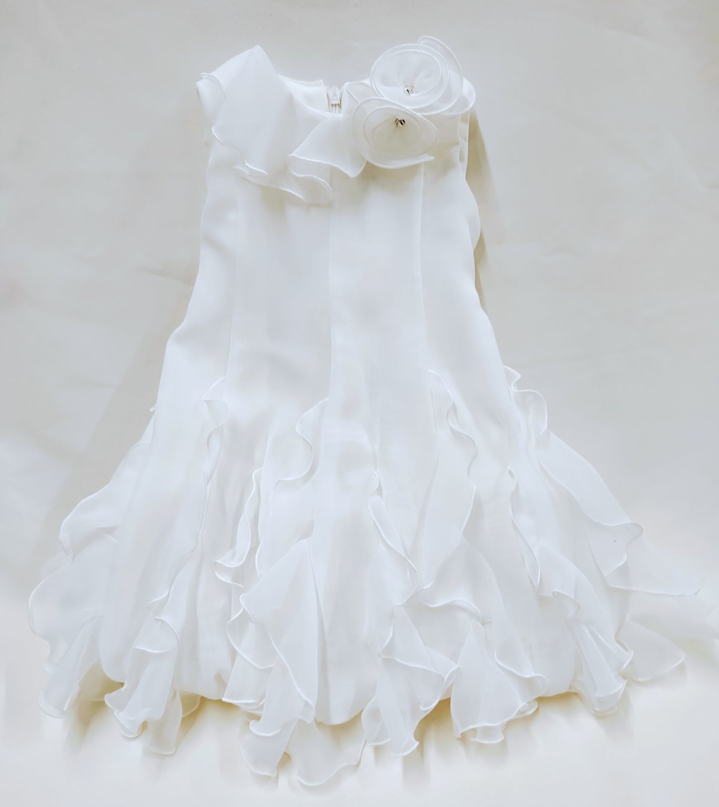 Dress-10186263