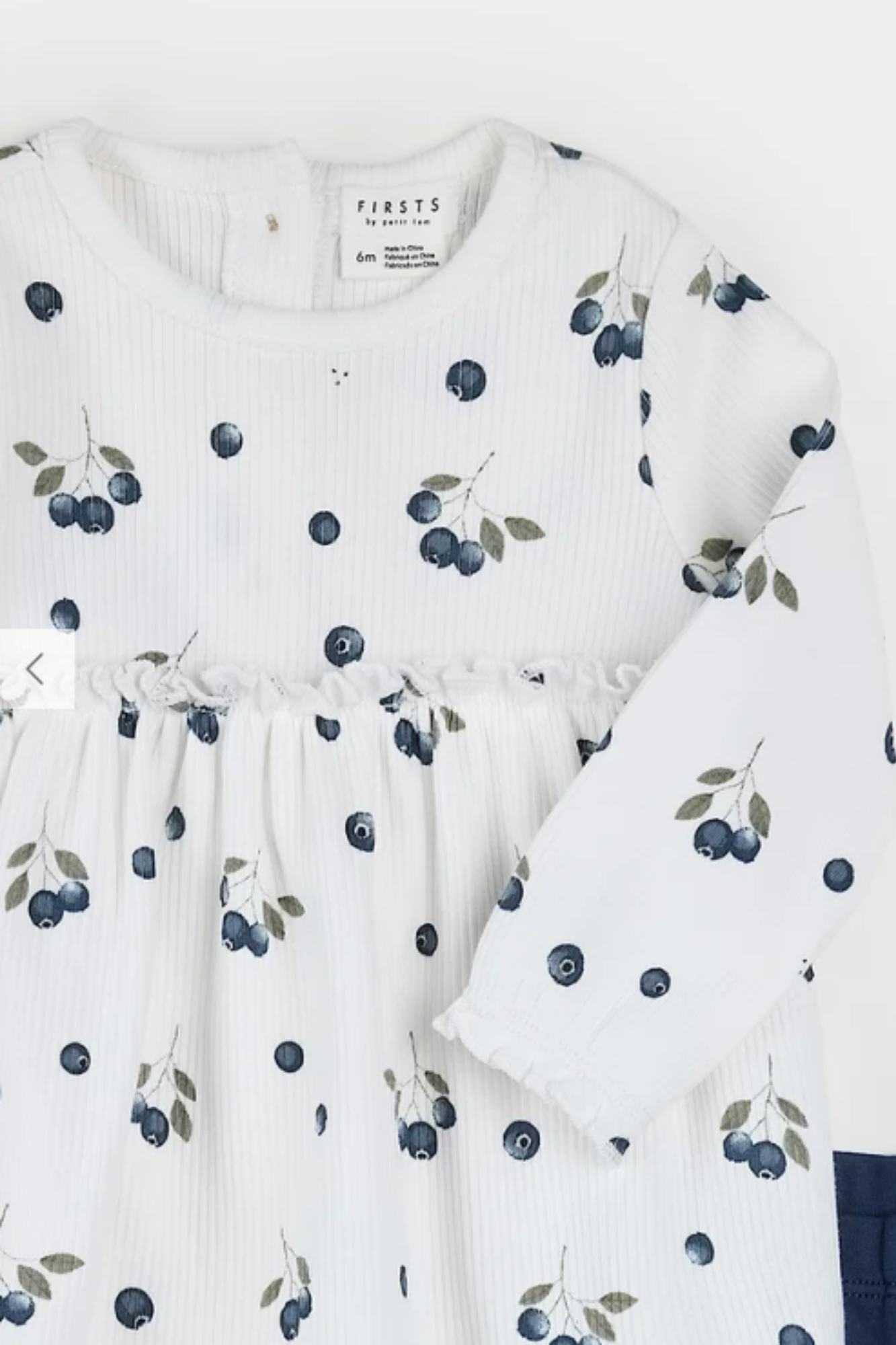 Blueberries Ribbed Dress Set